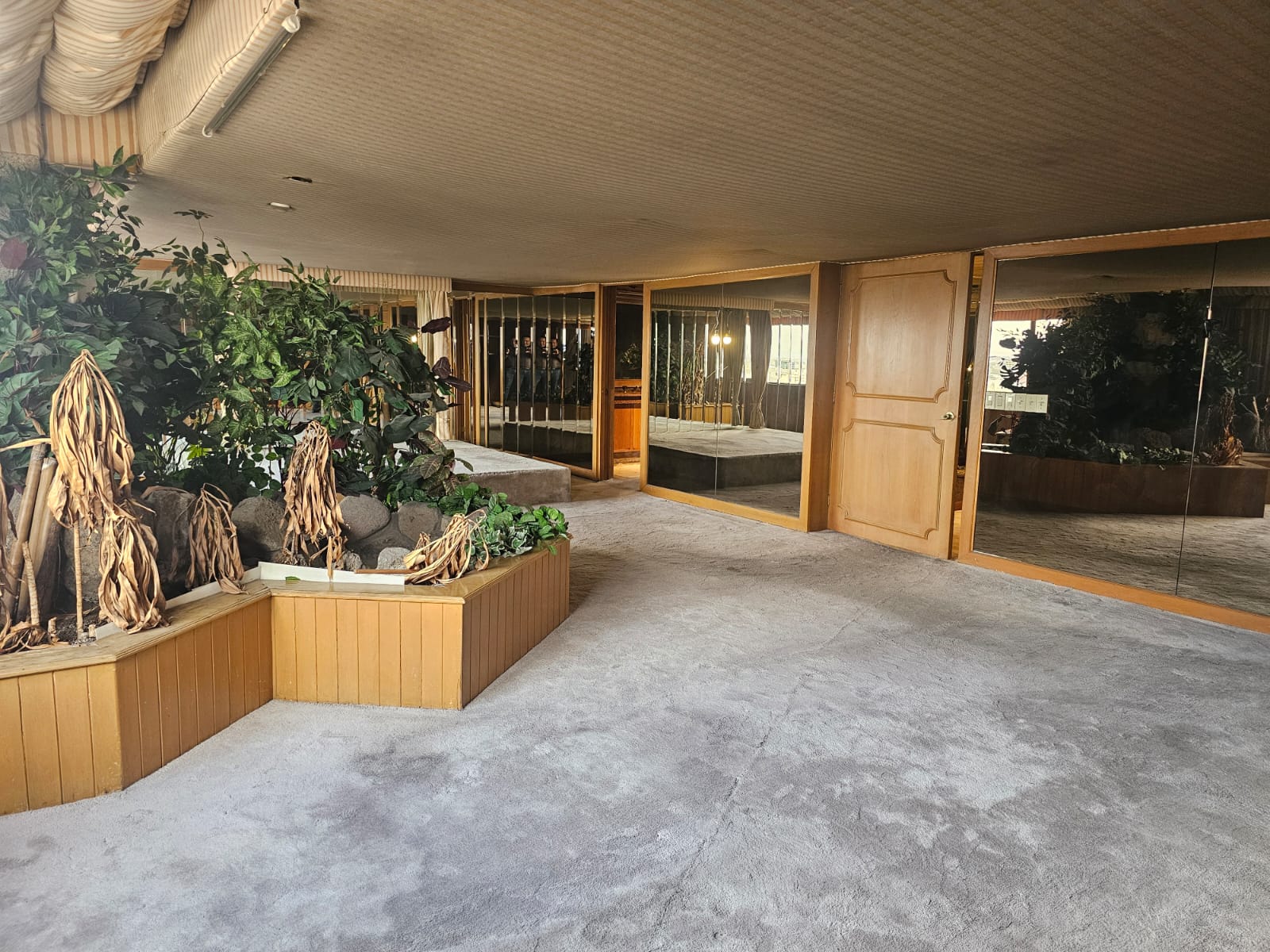 PENT HOUSE EN VENTA – CALLE SAN FRANCISCO,COLONIA DEL VALLE NORTE, BENITO JUÁREZ, CDMX
